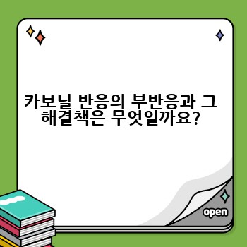카보닐 반응의 부반응과 그 해결책은 무엇일까요?
