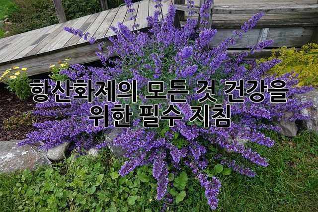 항산화제의 모든 것: 건강을 위한 필수 지침