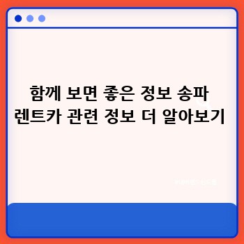 함께 보면 좋은 정보 송파 렌트카 관련 정보 더 알아보기