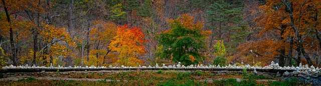 신흥국 투자 가이드: 잠재력과 위험 분석 신흥국 투자 가이드: 잠재력과 위험 분석