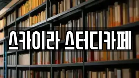 스카이라 스터디카페