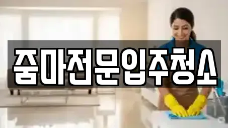 줌마전문입주청소