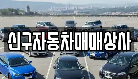 신구자동차매매상사