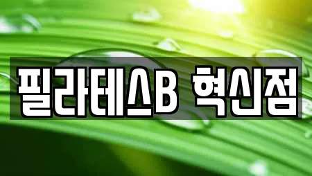 필라테스B 혁신점