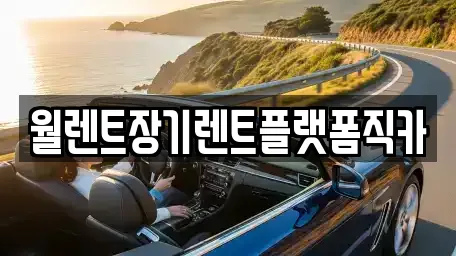 월렌트장기렌트플랫폼직카