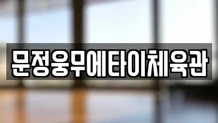 문정웅무에타이체육관