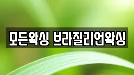 모든왁싱 브라질리언왁싱