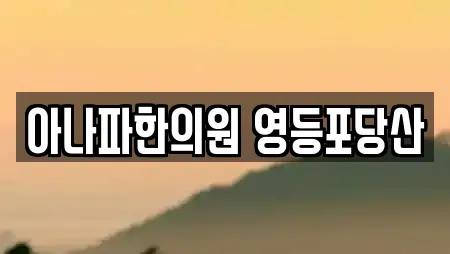 아나파한의원 영등포당산