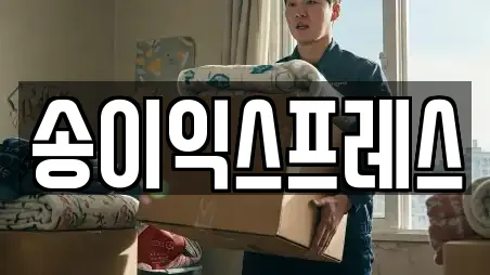 송이익스프레스