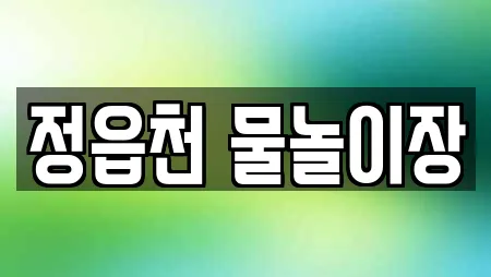 정읍천 물놀이장