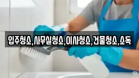 입주청소,사무실청소,이사청소,건물청소,소독