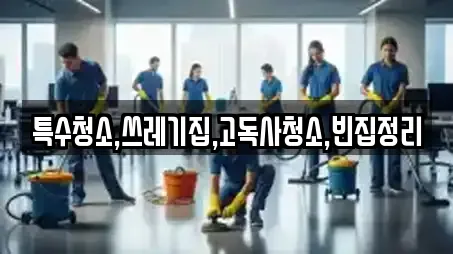 특수청소,쓰레기집,고독사청소,빈집정리