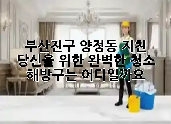부산진구 양정동, 지친 당신을 위한 완벽한 청소 해방구는 어디일까요? 🫧