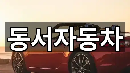 경산 갑제동 중고차 위치 체크 5곳