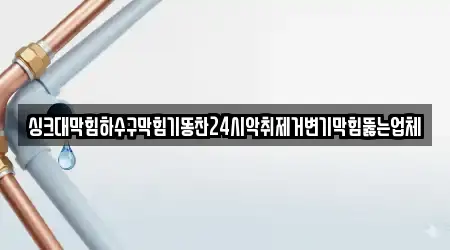 싱크대막힘하수구막힘기똥찬24시악취제거변기막힘뚫는업체