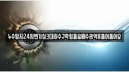 누수탐지24시변기싱크대하수구막힘뚫음배수관역류뚫어뚫어요