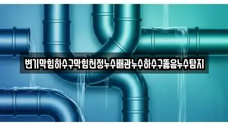 변기막힘하수구막힘천정누수배관누수하수구뚫음누수탐지