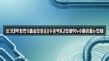 싱크대막힘변기뚫음정화조오수관역류고압세척누수배관뚫는업체