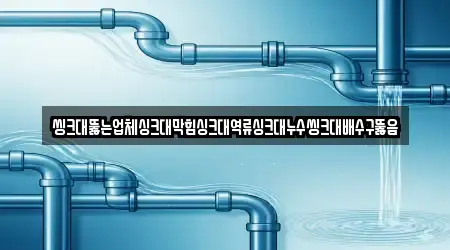 씽크대뚫는업체싱크대막힘싱크대역류싱크대누수씽크대배수구뚫음