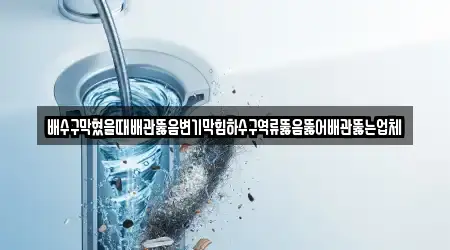 배수구막혔을때배관뚫음변기막힘하수구역류뚫음뚫어배관뚫는업체