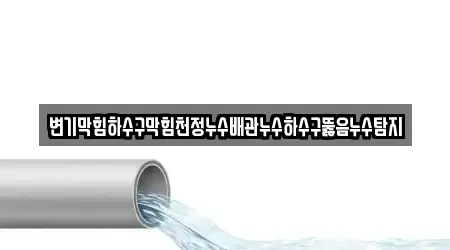 변기막힘하수구막힘천정누수배관누수하수구뚫음누수탐지