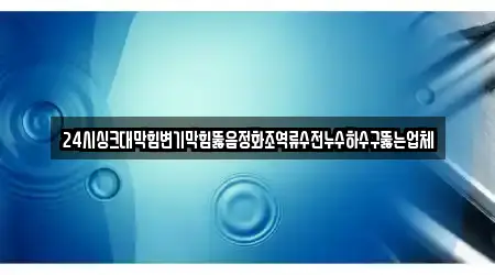 24시싱크대막힘변기막힘뚫음정화조역류수전누수하수구뚫는업체