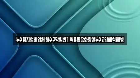 누수탐지설비업체하수구막힘변기역류뚫음화장실누수고압세척해빙