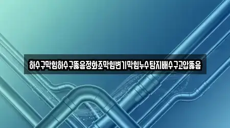 하수구막힘하수구뚫음정화조막힘변기막힘누수탐지배수구고압뚫음