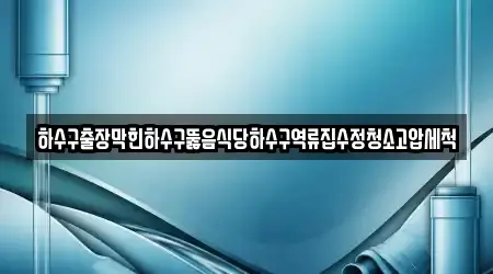 하수구출장막힌하수구뚫음식당하수구역류집수정청소고압세척