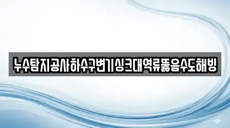 누수탐지공사하수구변기싱크대역류뚫음수도해빙
