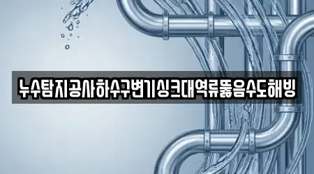 누수탐지공사하수구변기싱크대역류뚫음수도해빙
