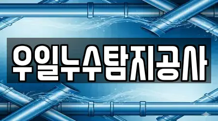 우일누수탐지공사