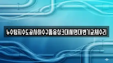 누수탐지수도공사하수구뚫음싱크대세면대변기교체수리