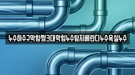 누수하수구막힘씽크대막힘누수탐지베란다누수욕실누수