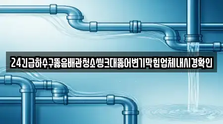 24긴급하수구뚫음배관청소씽크대뚫어변기막힘업체내시경확인
