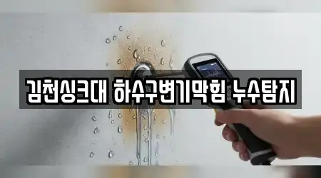 주소로 보는 경상북도 대신동 하수구막힘 5곳
