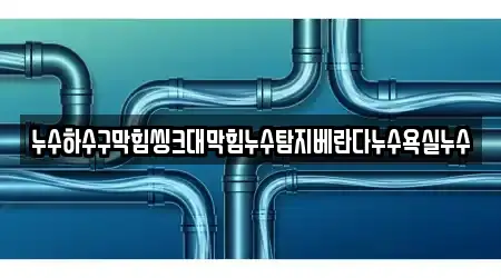 누수하수구막힘씽크대막힘누수탐지베란다누수욕실누수