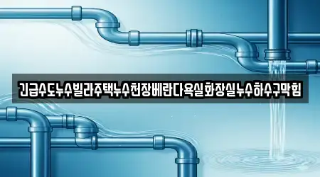 긴급수도누수빌라주택누수천장베란다욕실화장실누수하수구막힘
