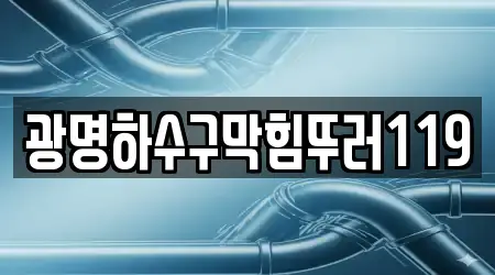 광명하수구막힘뚜러119