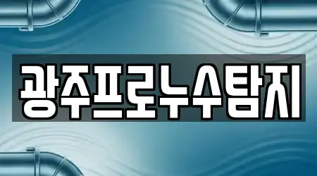 광주프로누수탐지