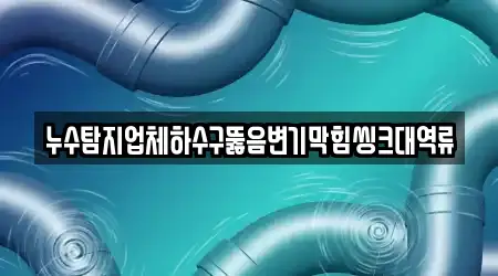 누수탐지업체하수구뚫음변기막힘씽크대역류