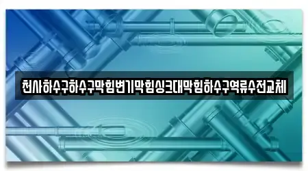 광주광역시 송산동 4 하수구 역류 지도 확인