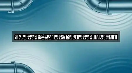 하수구막힘역류뚫는곳변기막힘뚫음싱크대막힘역류내시경악취제거