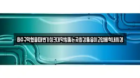 하수구막혔을때변기싱크대막힘뚫는곳최강뚫음이고압세척내시경