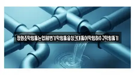 정화조막힘뚫는업체변기막힘뚫음싱크대뚫어막힘하수구막힘뚫기