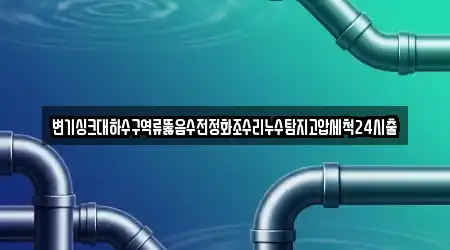 변기싱크대하수구역류뚫음수전정화조수리누수탐지고압세척24시출