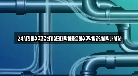 24시간하수구프로변기싱크대막힘뚫음하수구막힘고압세척내시경