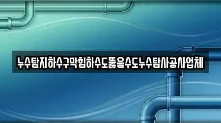 누수탐지하수구막힘하수도뚫음수도누수탐사공사업체