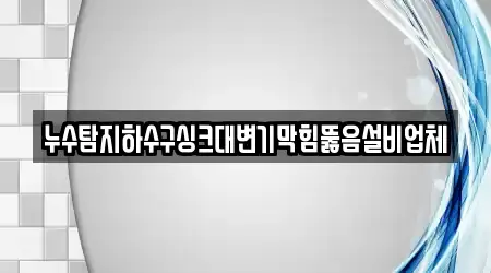 누수탐지하수구싱크대변기막힘뚫음설비업체