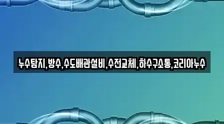 누수탐지,방수,수도배관설비,수전교체,하수구소통,코리아누수